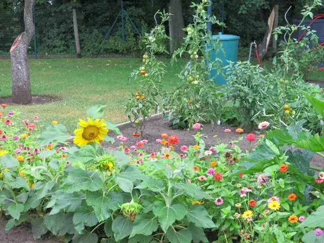 Эпохальное открытие превращает марафон эволюции в спринт