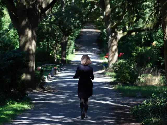 Люди не используют так много умственных способностей, как нам хотелось бы думать: у животных был энергоемкий мозг задолго до нас