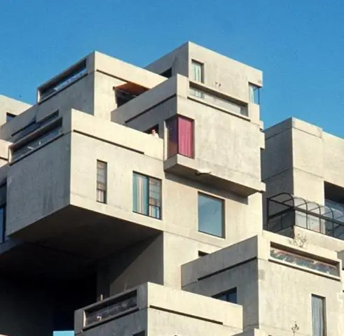 Как жизнь возникла из изначальной грязи: экспериментальные данные опровергают общепринятую теорию