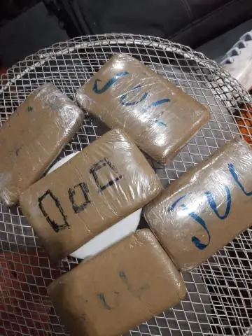 Тайная жизнь древних наземных растений: расшифровка генома печеночника проливает свет на эволюцию наземных растений