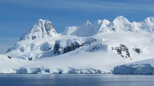 Ракушки фораминифер гораздо более подвержены закислению океана, чем считалось ранее