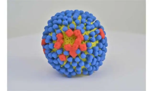 Новые вакцины широкого профиля против гриппа H3N2