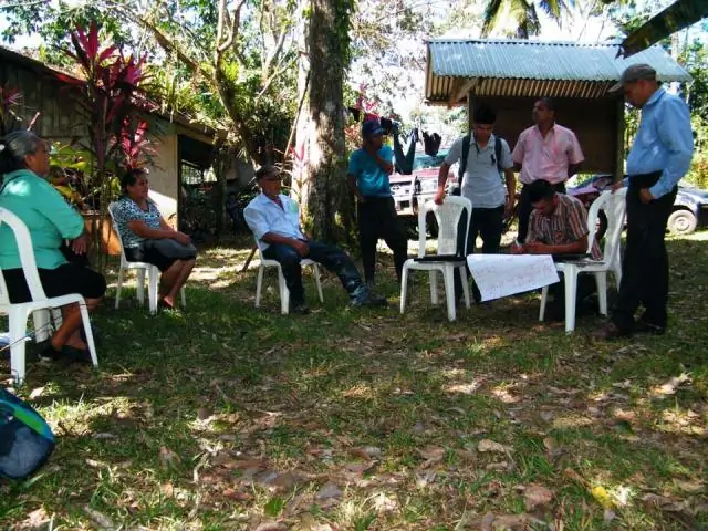 Имитация гигантских моллюсков для увеличения производства биотоплива