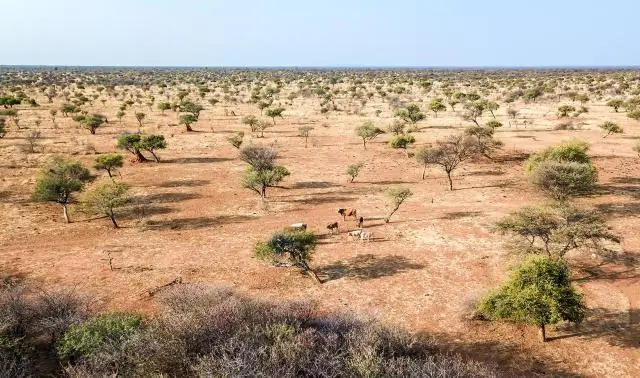 Производительность сельского хозяйства привела к европейско-американскому заселению Юты: окружающая среда объясняет структуру населения в прошлом и настоящем