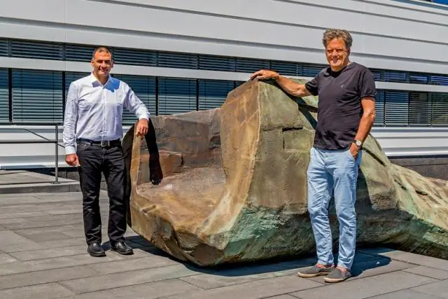 Почему растения дают всходы в темноте