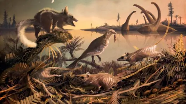 Ранние предки человечества обнаружены на юге Англии