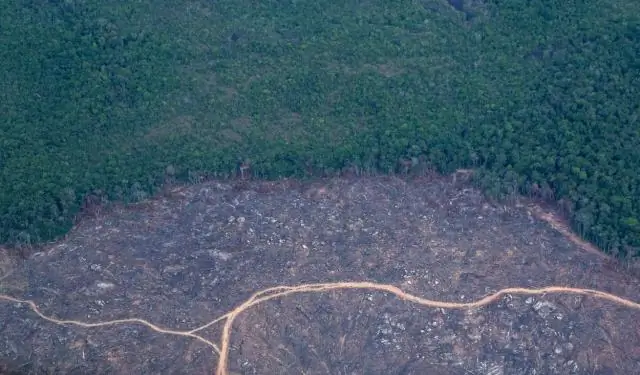 Огромный поглотитель углерода в почвенных минералах: новый способ компенсировать рост парниковых газов
