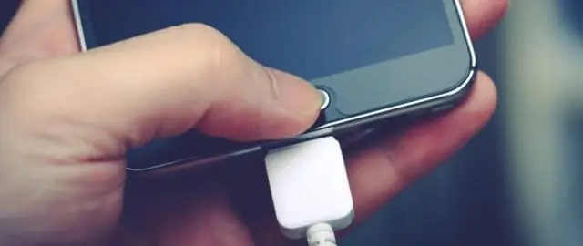 Новая пленка «сахарное стекло» использует вирусы для уничтожения вредных бактерий в продуктах питания