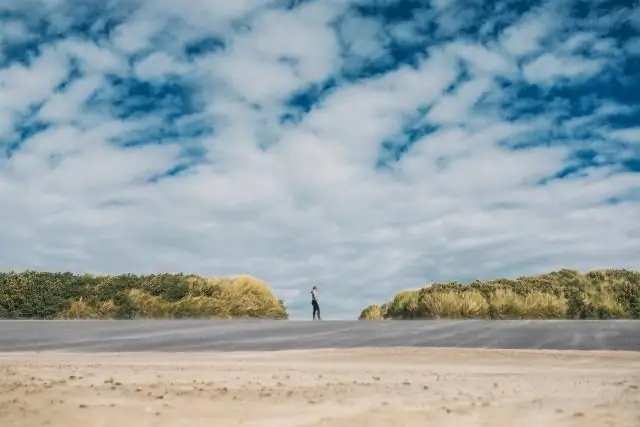 Влияние обесцвечивания кораллов на побережье Западной Австралии