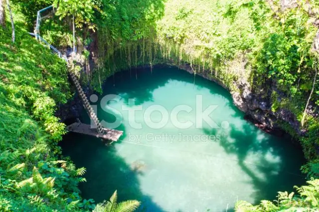 Глубоководная рыба раскрывает сумеречный фокус: в глазу глубоководной рыбы обнаружен новый тип клеток