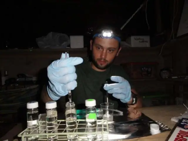 Генетическое открытие – еще один инструмент в борьбе с вредителями пшеницы