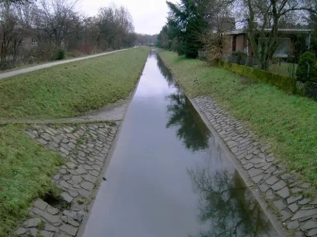 Картирование функционального разнообразия лесов с помощью дистанционного зондирования