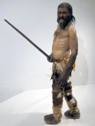 Исследователи складывают белок внутри белка