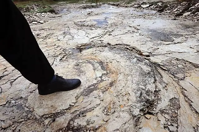 Самое крупное и продолжительное мультифизическое моделирование землетрясения, созданное на сегодняшний день