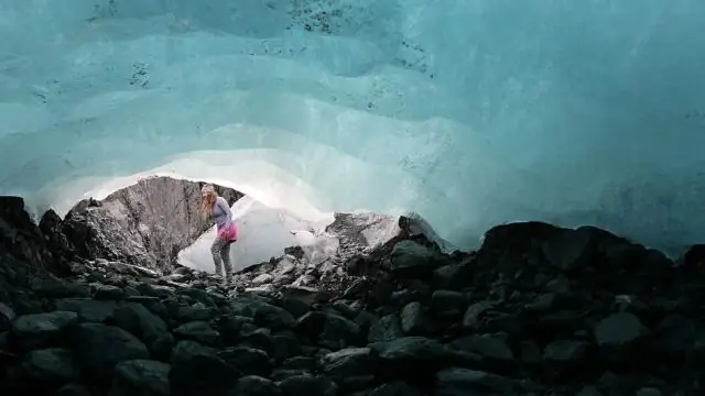 15 000 ученых из 184 стран предупреждают о негативных глобальных экологических тенденциях