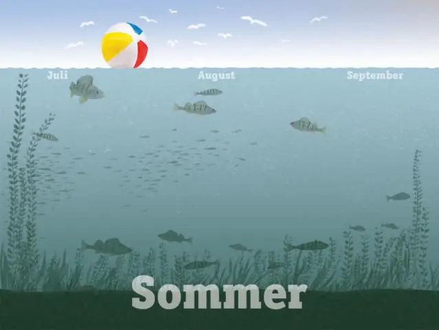 В Техасе вероятность выпадения осадков по шкале Харви увеличится к концу века: исследование показывает, что ежегодный риск экстремальных осадков в штате вырастет с 1 до 18 процентов