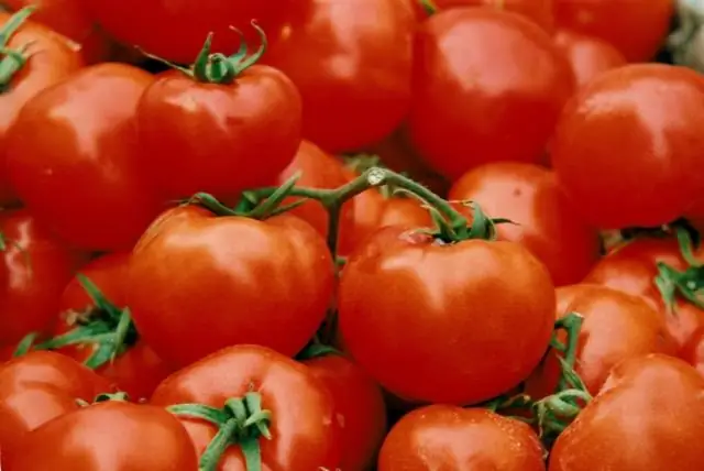 Роль солнца в борьбе с грибковыми заболеваниями плодов манго