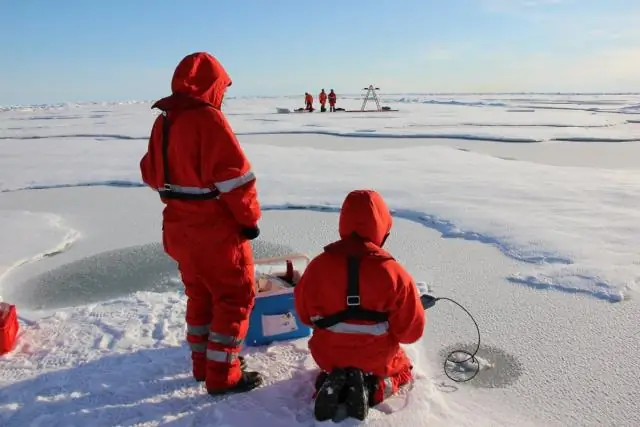 Методы «черного ящика», используемые биологами, вероятно, завышают количество новых видов