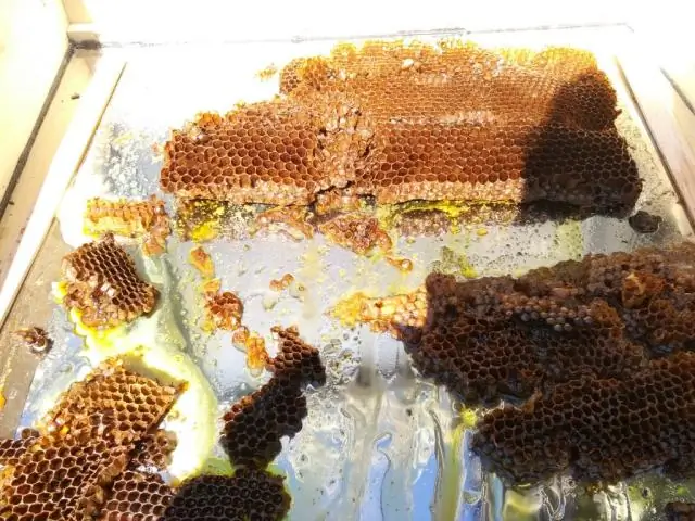 Как ячейки фильтруют обновления статуса