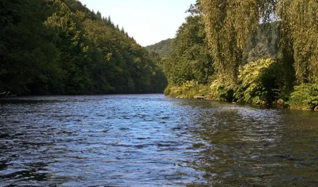 Амазонские ручьи, кишащие рыбой, не защищены