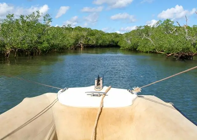 Микробная экосистема в Лагуна Ла Брава может содержать новые микроорганизмы: отсутствие цианобактерий предполагает, что другие микроорганизмы могут осаждать минералы
