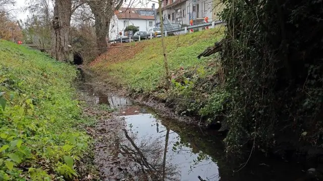Последствия изменения климата уже зафиксированы, но худшего еще можно избежать