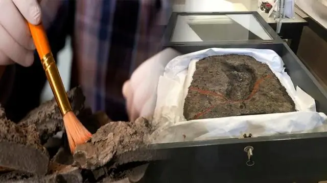 Открытие гена может остановить мировую эпидемию пшеницы: ген может помочь отразить разрушительный штамм стеблевой ржавчины