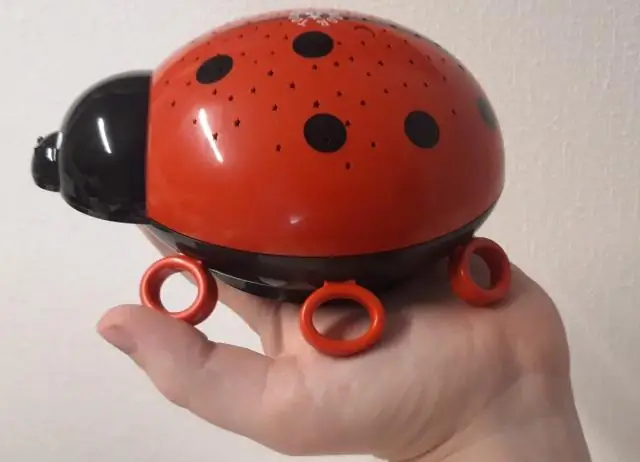 Бактерии в жуке делают его листоедом: Специализированная диета жука во многом обусловлена бактериями, которые живут внутри насекомого