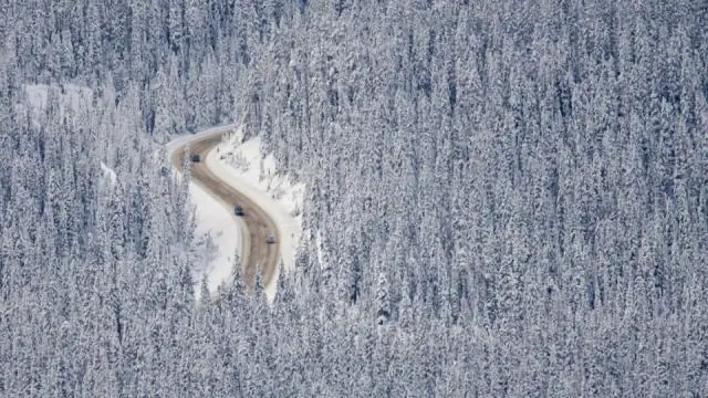 Европейские леса, возможно, не полностью реализуют свой потенциал
