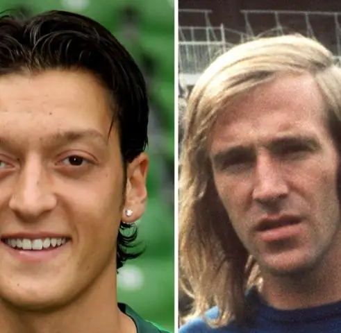 Саванна в полупустыне распространилась по Мадриду 14 миллионов лет назад