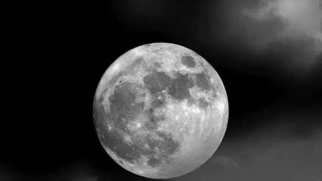 Раскрыта физика рассеивания шлейфа семян одуванчика