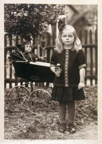 Правые голубые киты иногда ведут себя как левши, показало исследование