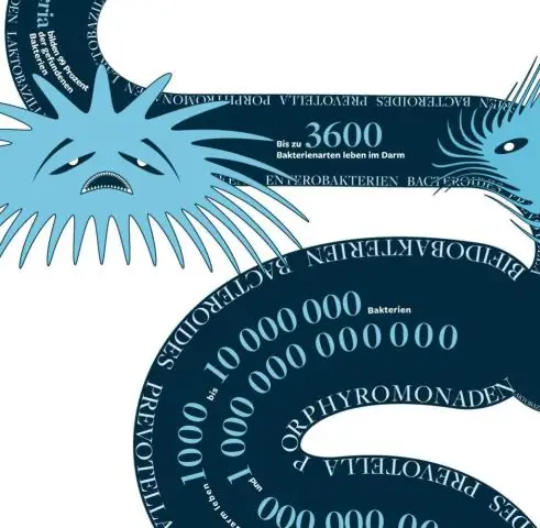 Белки клеточного цикла помогают иммунным клеткам ловить микробы с помощью сетей из ДНК