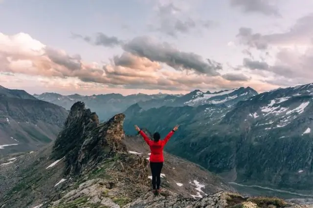 Самки шимпанзе, которые уходят из дома, откладывают родительство: Переезд или потеря мамы означает более позднее материнство для шимпанзе