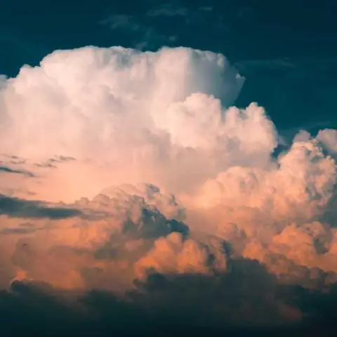 Модели воздействия птиц на изменение климата прошли испытание