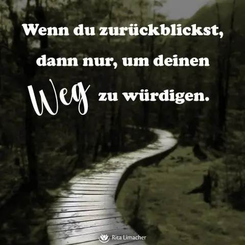 Крутые ящерицы лучше учатся в обществе