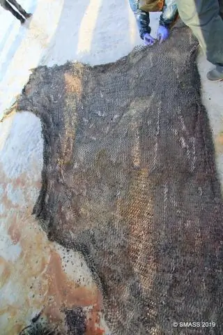 «Потерянные» 99% микропластика в океане будут идентифицированы красителем?