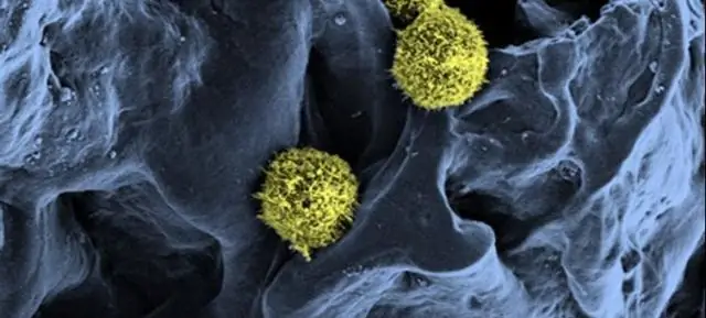 Ученые разработали устройство искусственного фотосинтеза для более экологичного производства этилена