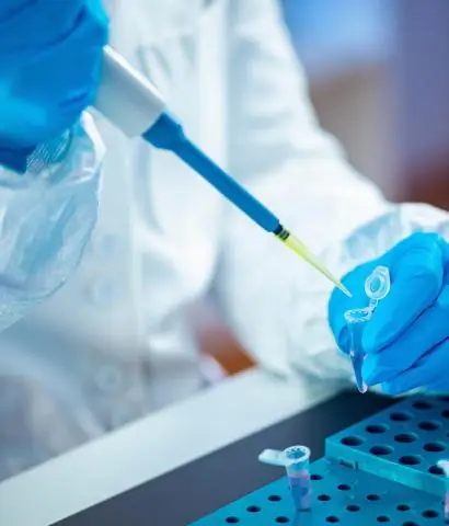 Время играет ключевую роль в сохранении органического вещества во влажной почве, показало новое исследование