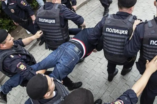 В России обнаружены новые виды бабочек с необычным набором из 46 хромосом