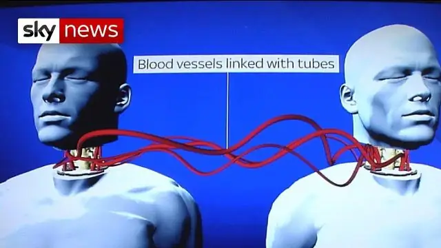 Прорыв в краткосрочном прогнозировании торнадо может означать более ранние и более точные предупреждения: добавление данных о турбулентности на большой высоте может добавить 20-минутное окно предупреж