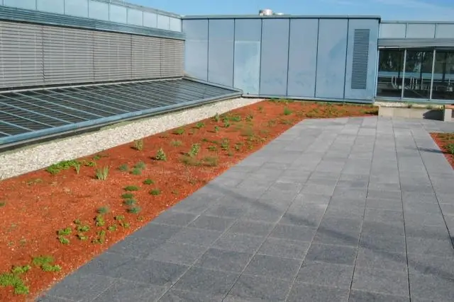 Благоустройство городских зеленых насаждений повышает тепловой комфорт горожан