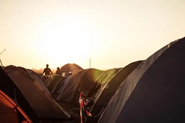 Больше видового разнообразия растений может быть недостаточно для защиты экосистем от наихудших последствий экстремальных климатических явлений