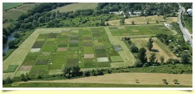 Йенский эксперимент: исчезновение видов разрушает экосистемы: обзор 15 лет исследований биоразнообразия