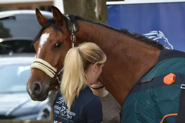 Заживление ран или регенерация – решает окружающая среда? Обнаружена гибкая саморегенерация у гребневиков