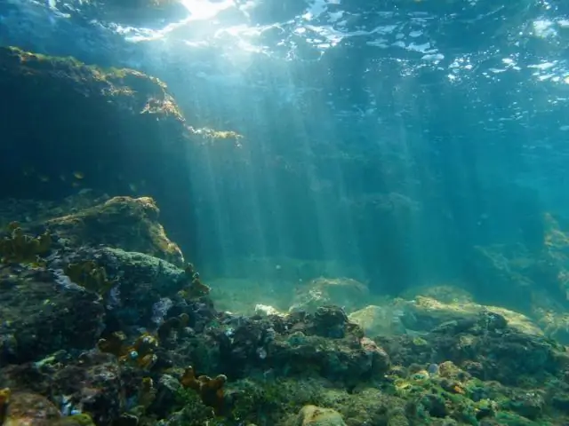Масса теплой скалы поднимается под Новой Англией