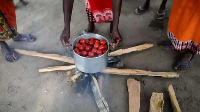 Гены растений, устойчивых к засухе, могут ускорить эволюцию культур, эффективно использующих воду