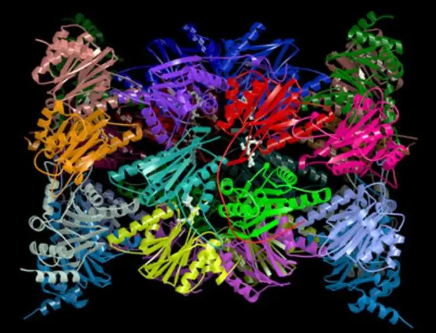 Функция многих белков остается неопределенной: количественная оценка белых пятен на белковых картах