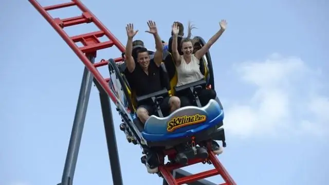 Открытие механизма определения направления коллективной миграции клеток