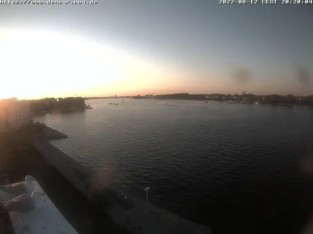 Компьютерная биология, или как управлять популяцией клеток с помощью компьютера